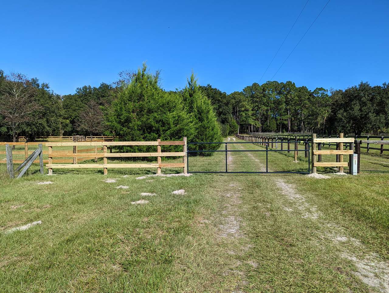Picture of the site