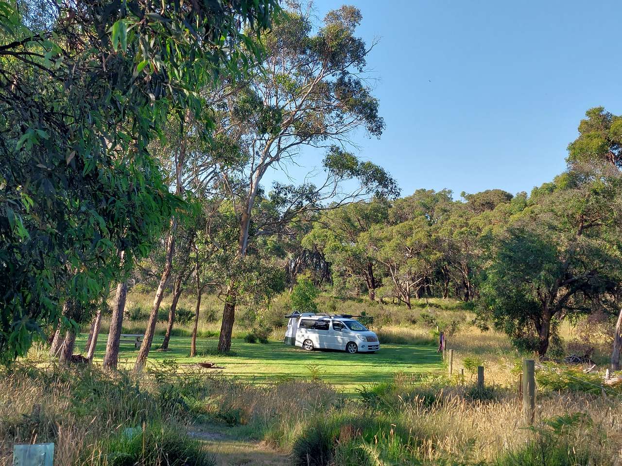 Picture of the site