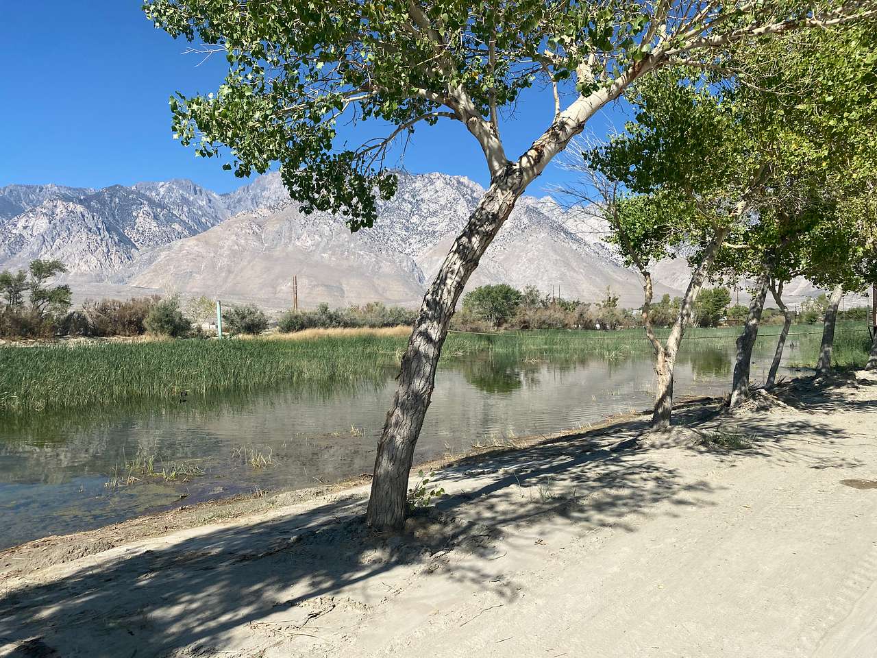 Picture of the site
