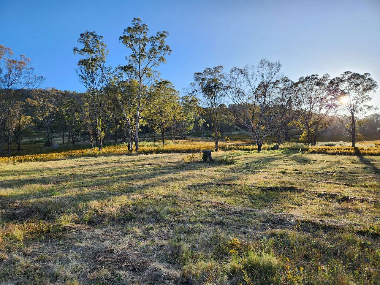 Picture of the site