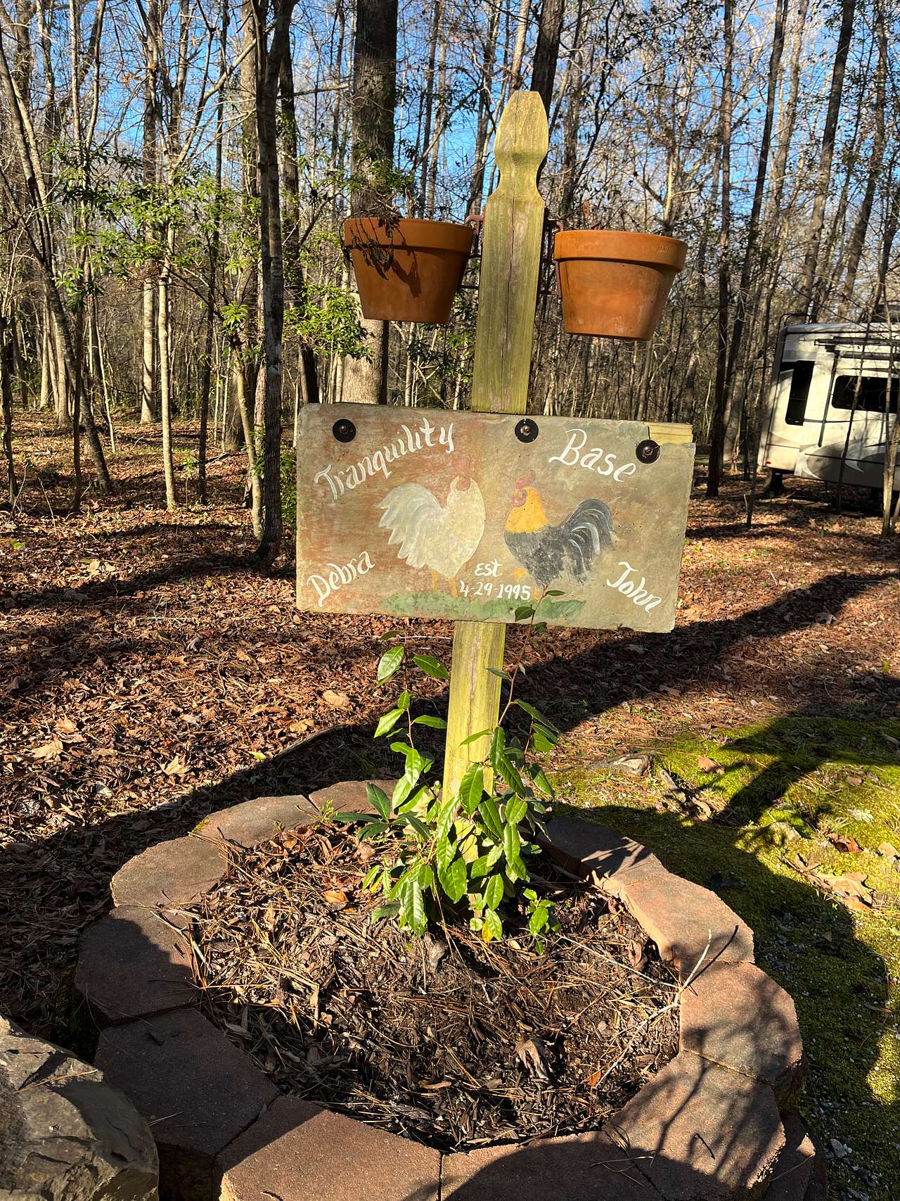 Picture of the site