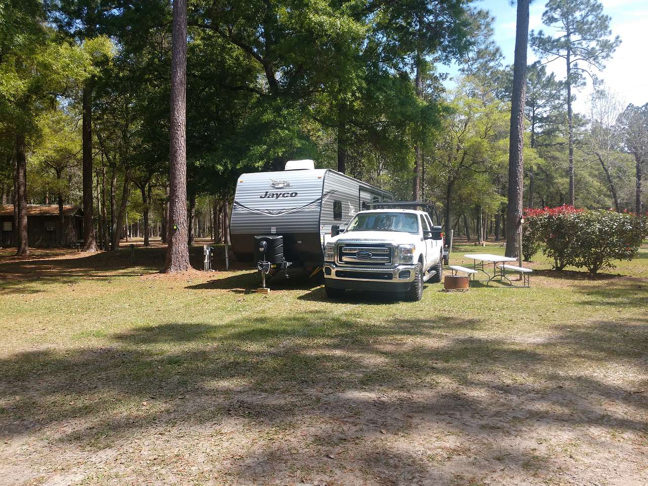 Picture of the site