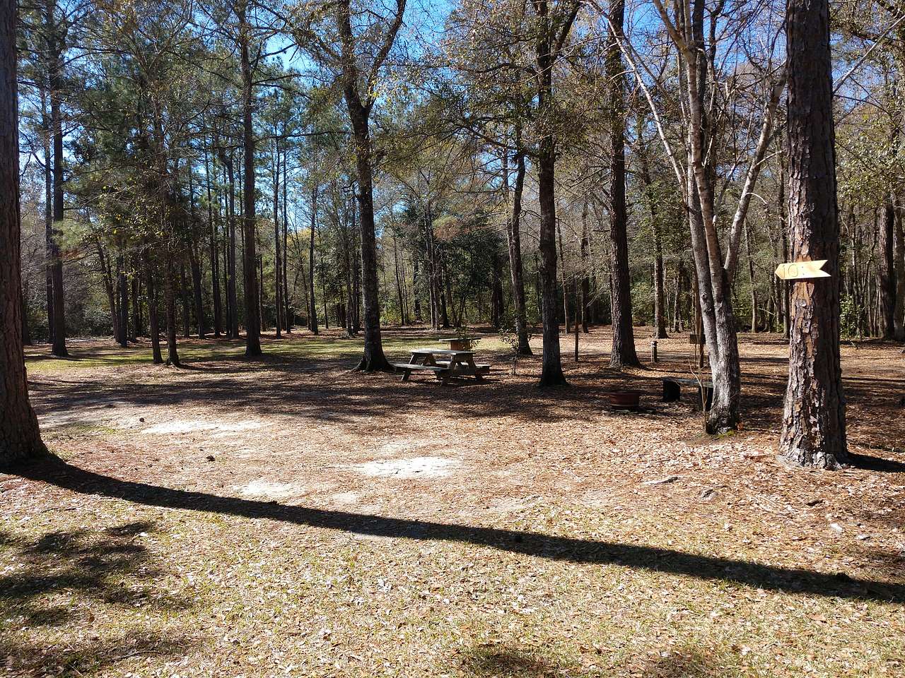 Picture of the site