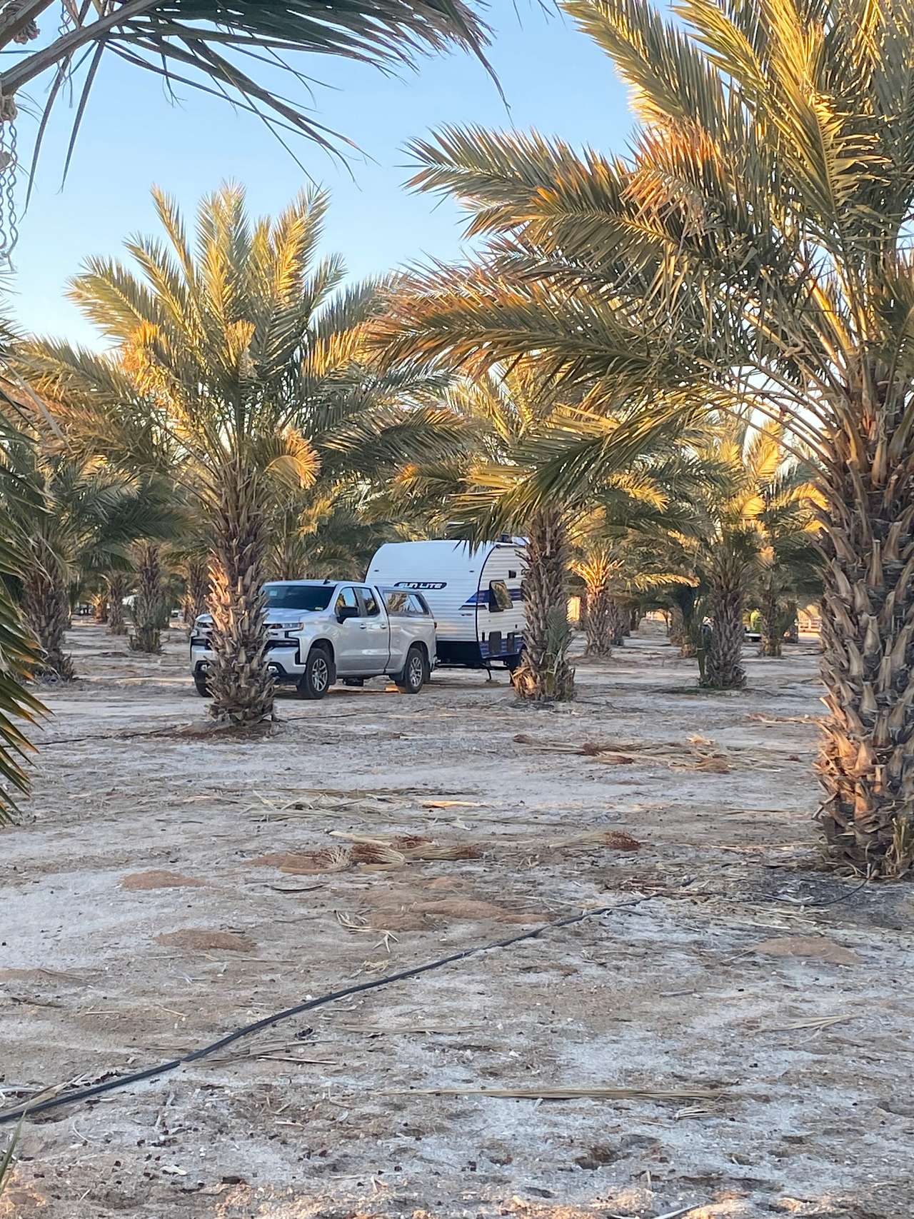 Picture of the site