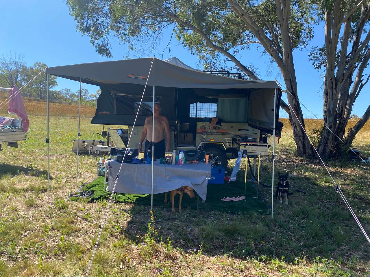 Picture of the site
