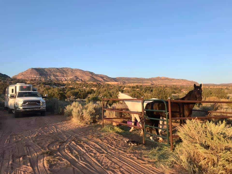 Picture of the site