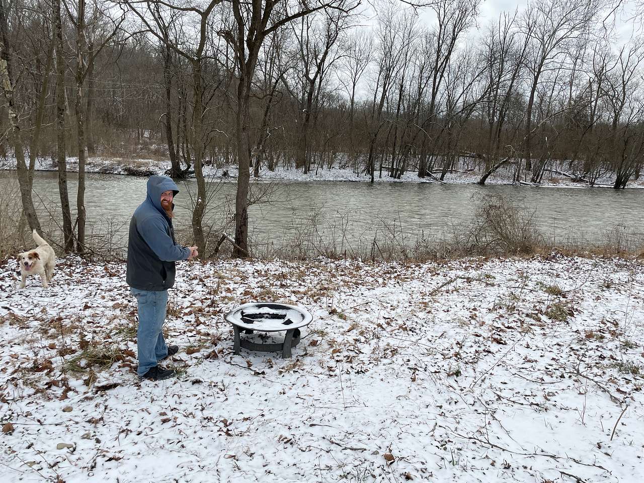 Picture of the site
