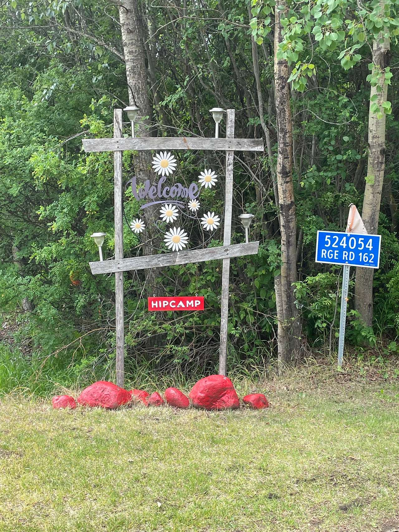 Picture of the site