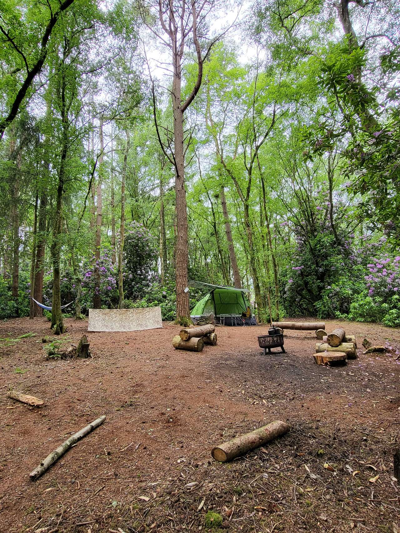 Picture of the site