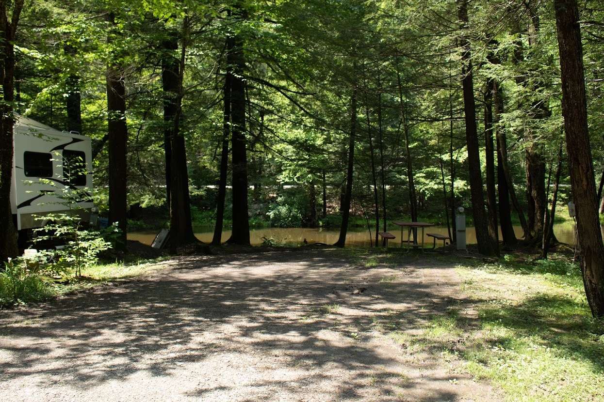 Picture of the site