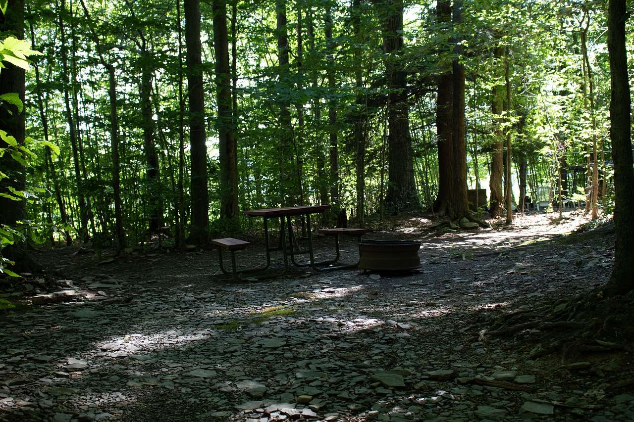 Picture of the site