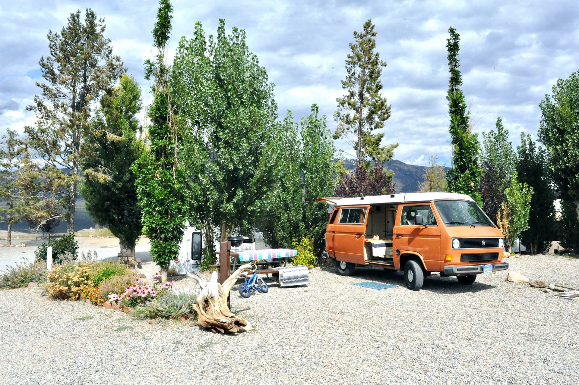 Picture of the site