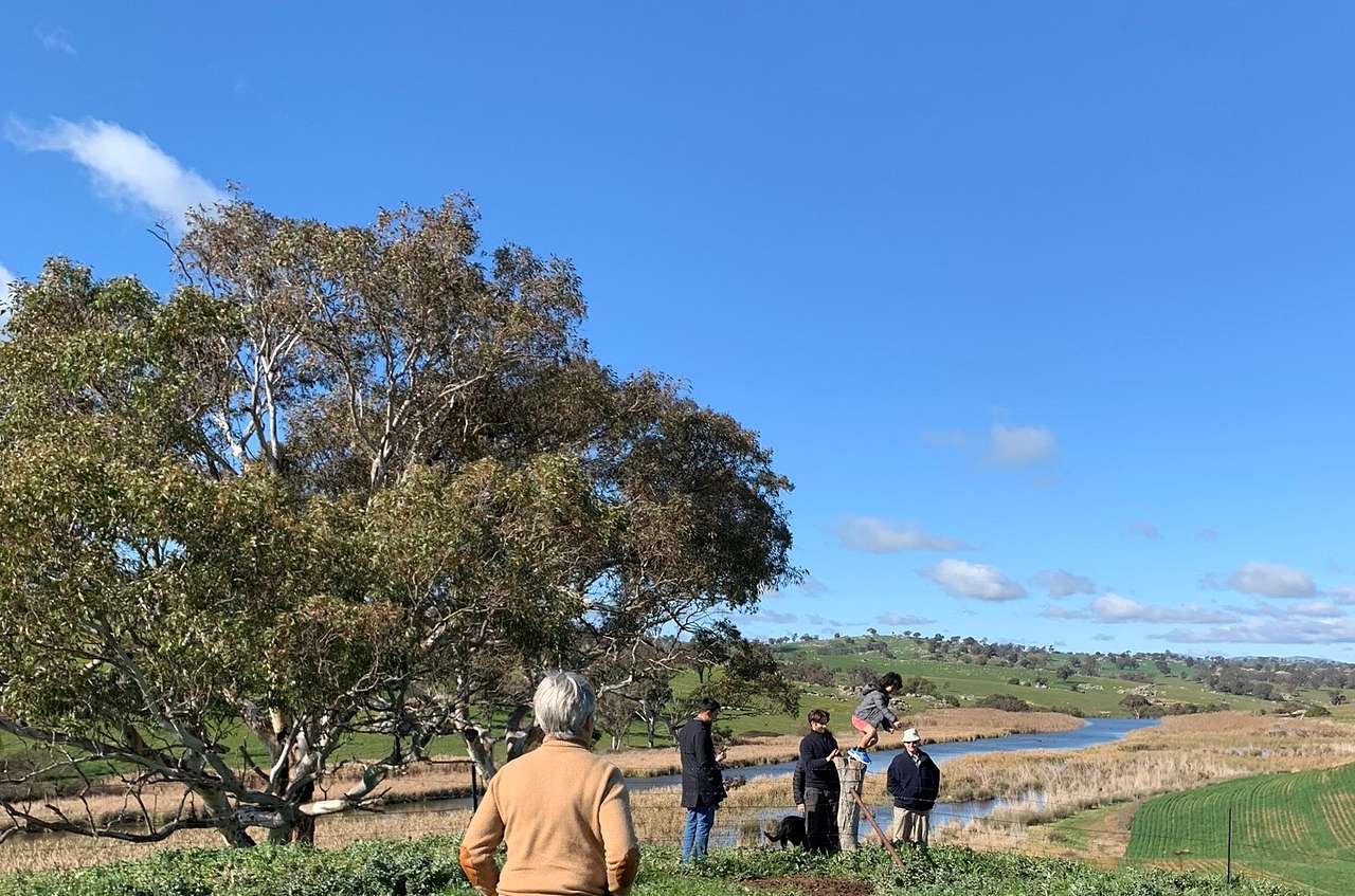 Picture of the site