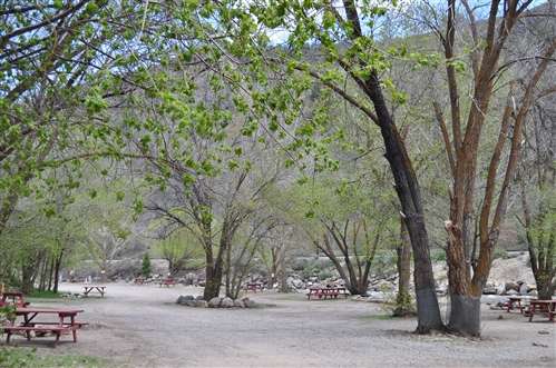 Picture of the site