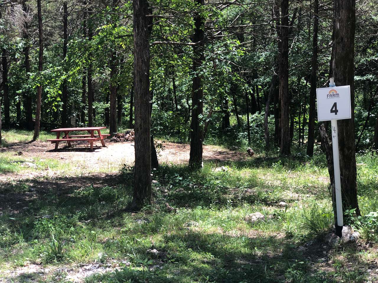 Picture of the site