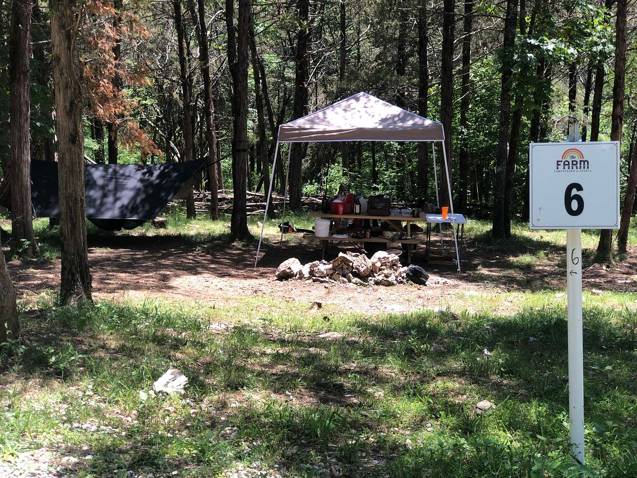 Picture of the site
