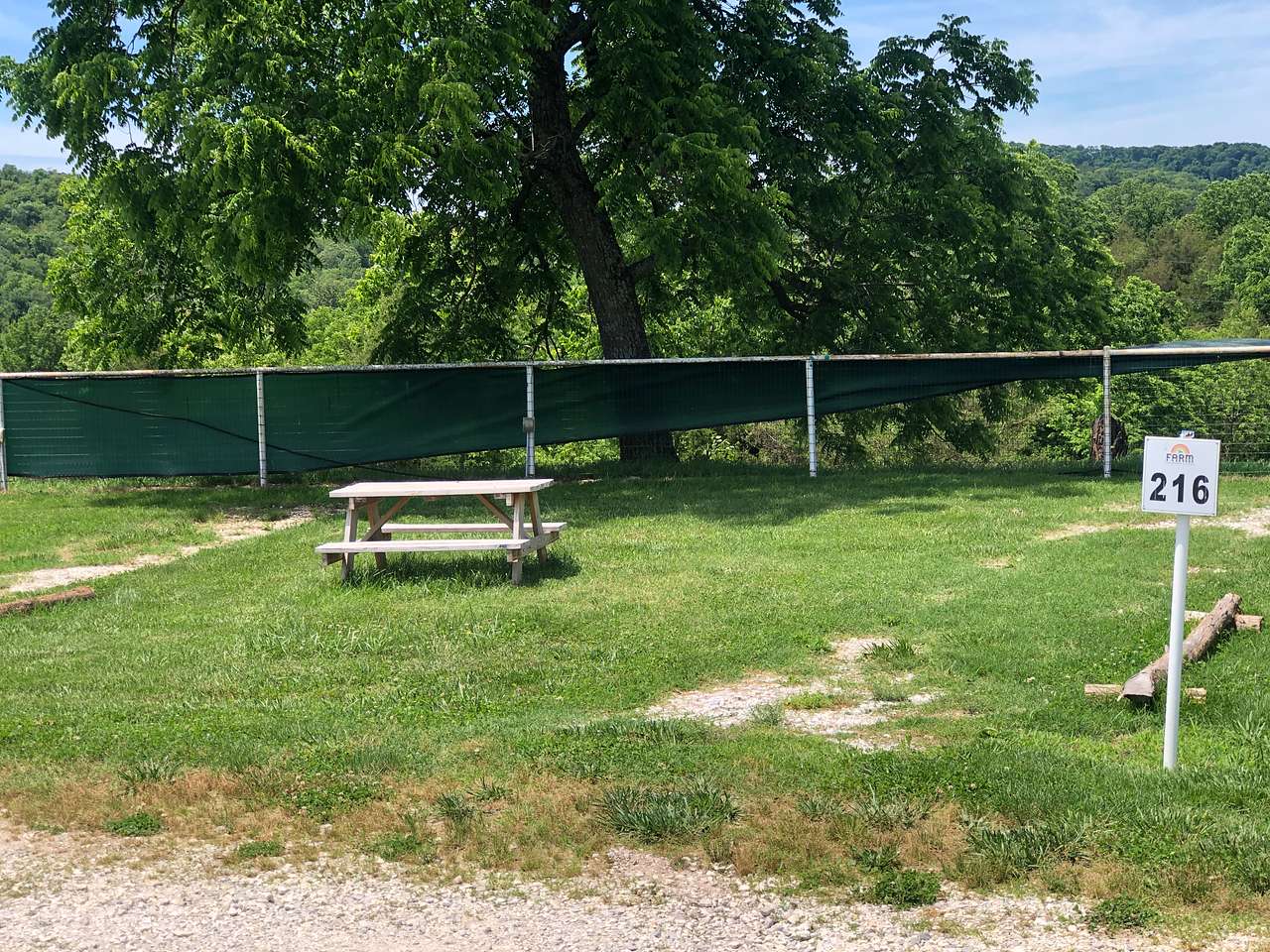 Picture of the site
