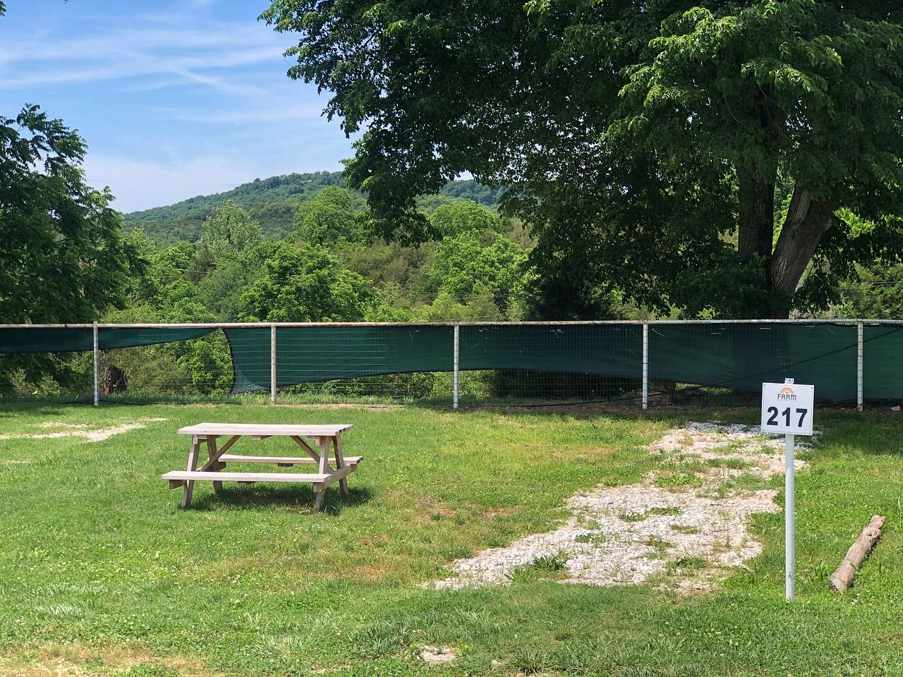 Picture of the site