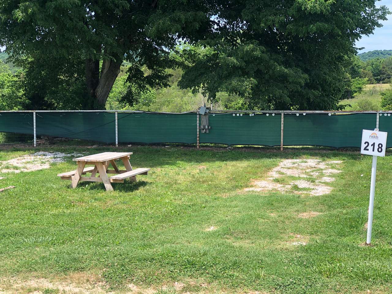 Picture of the site