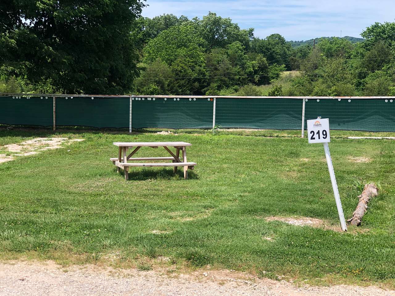 Picture of the site