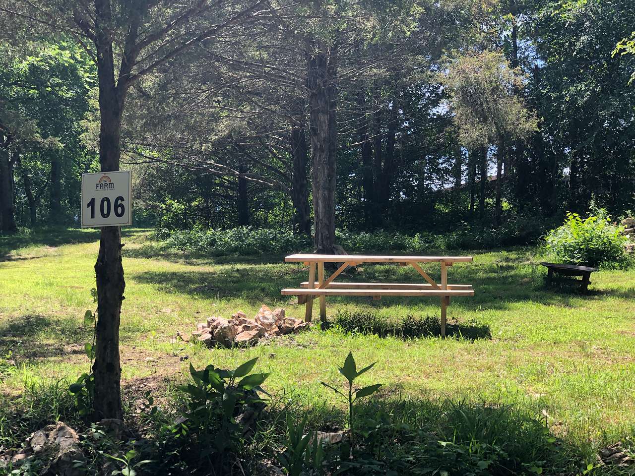 Picture of the site