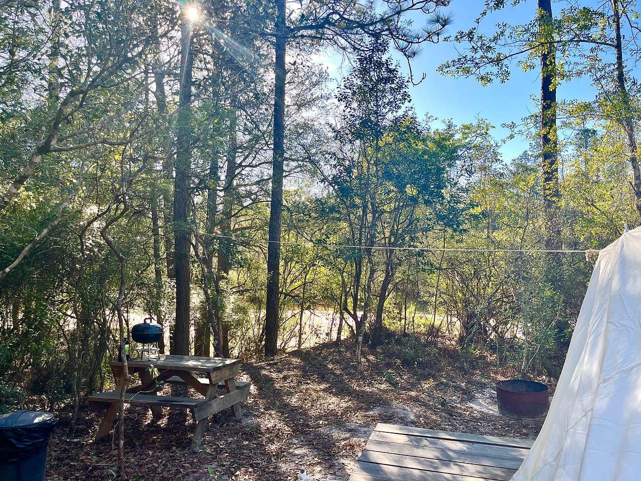 Picture of the site