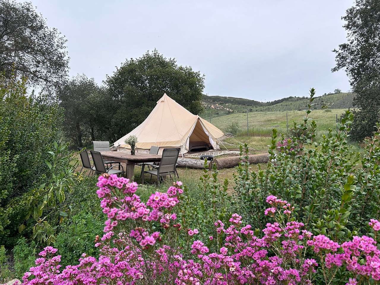 Picture of the site