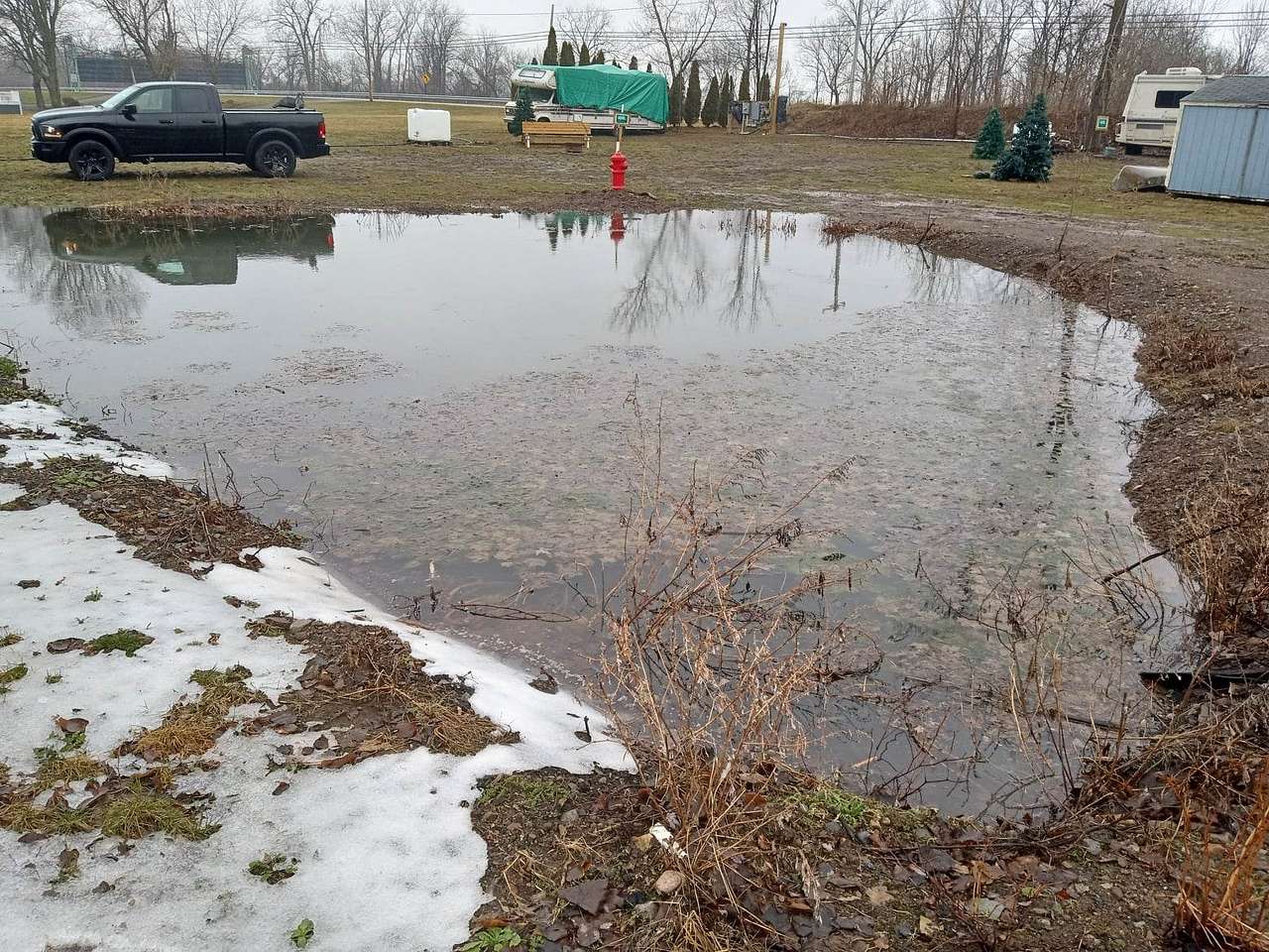 Picture of the site