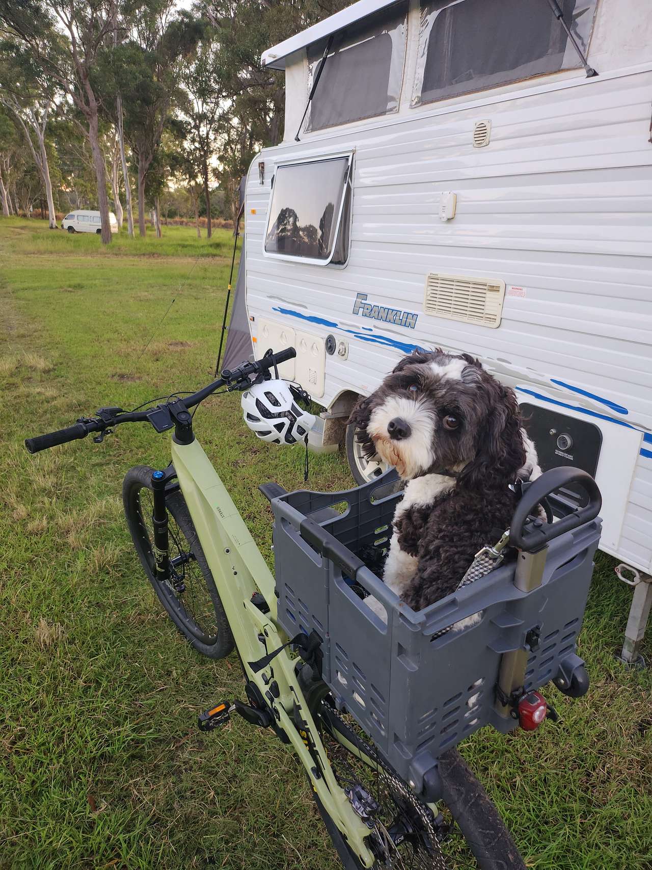 View pets photos of Carlton Farm, Hervey Bay