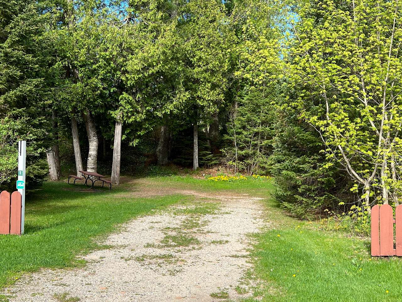 Picture of the site