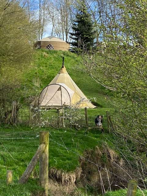 Picture of the site