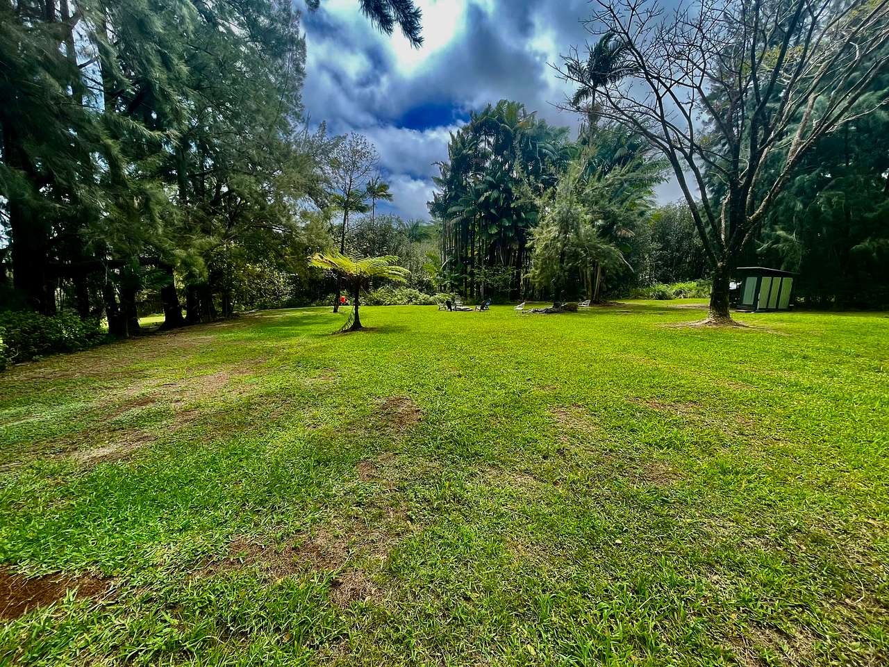 Photo 1 of 6 of Hakalau Springs Campground