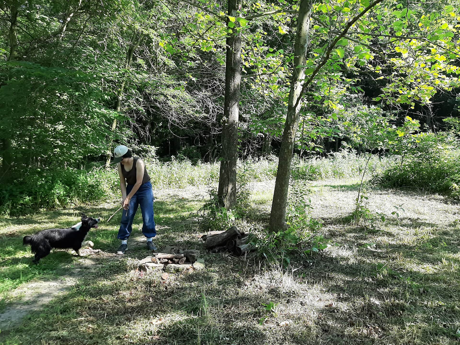 Picture of the site