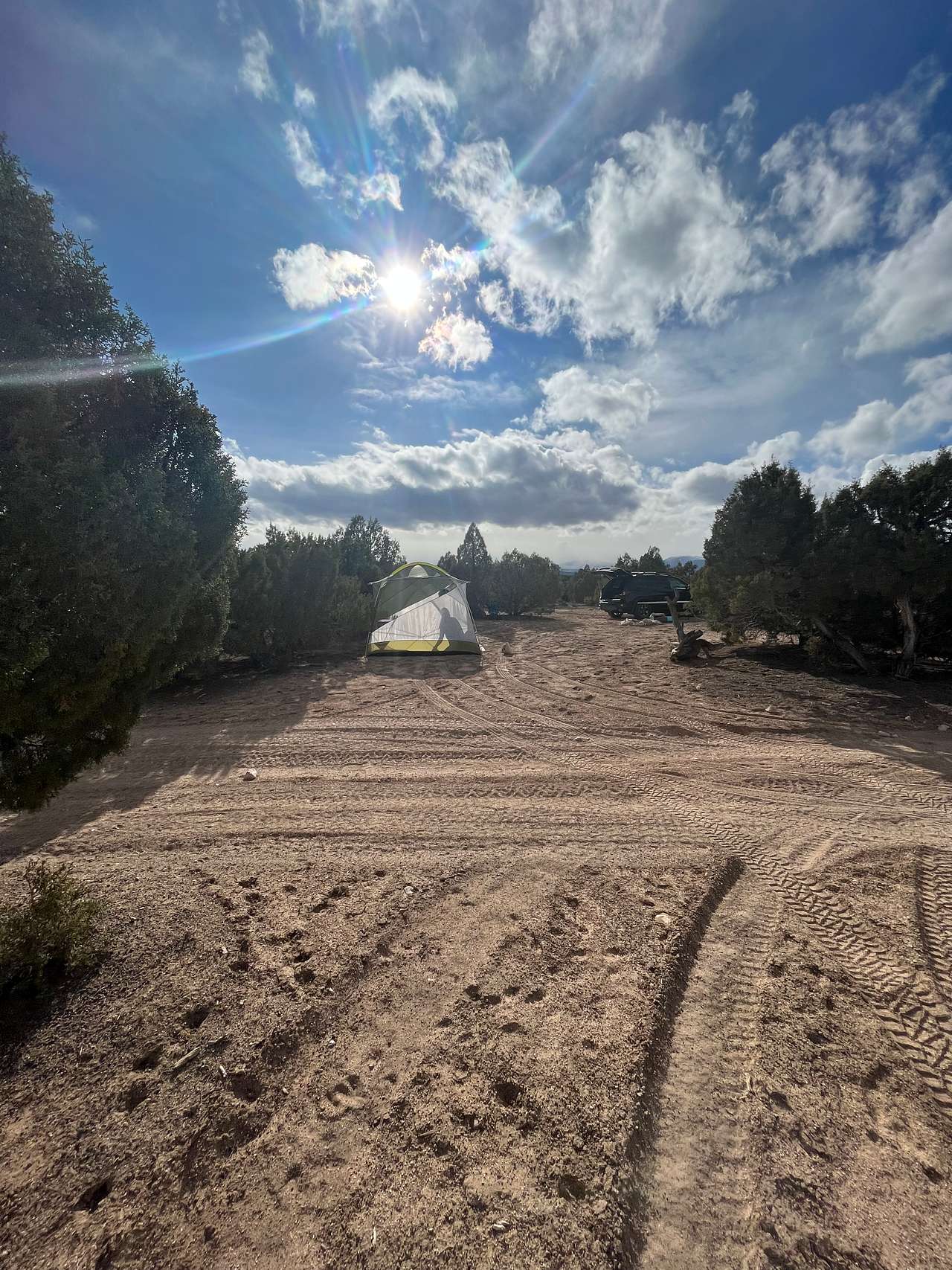 Picture of the site