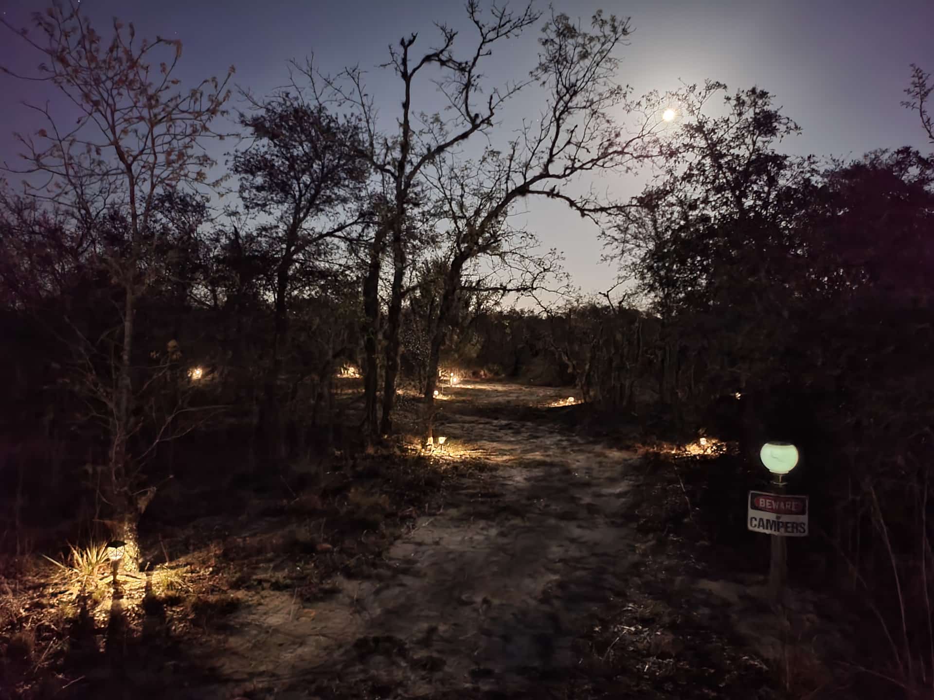 Picture of the site