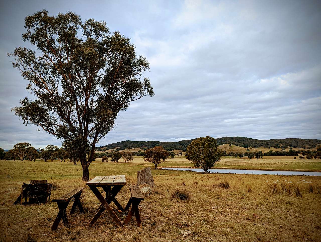 Picture of the site