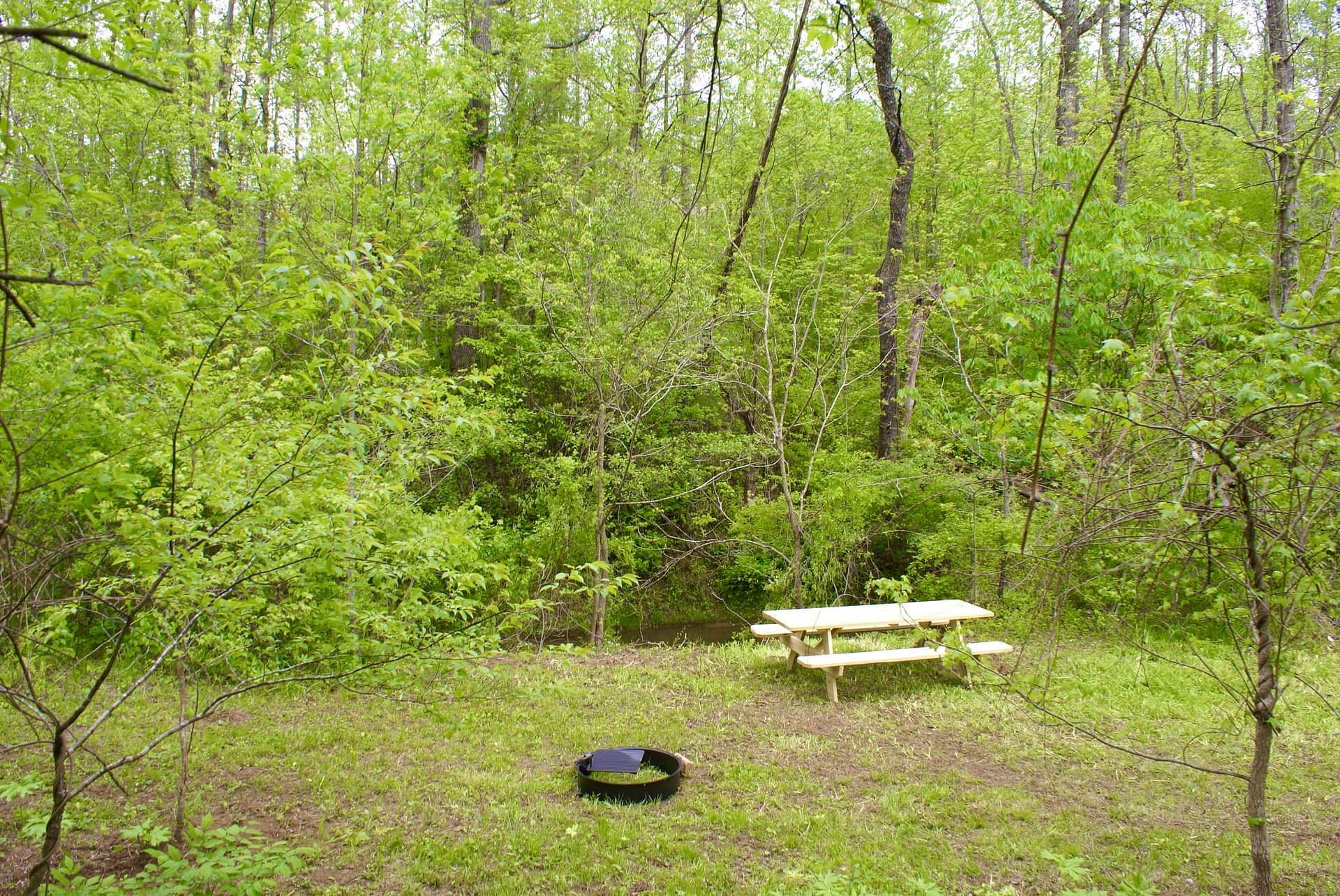 Picture of the site