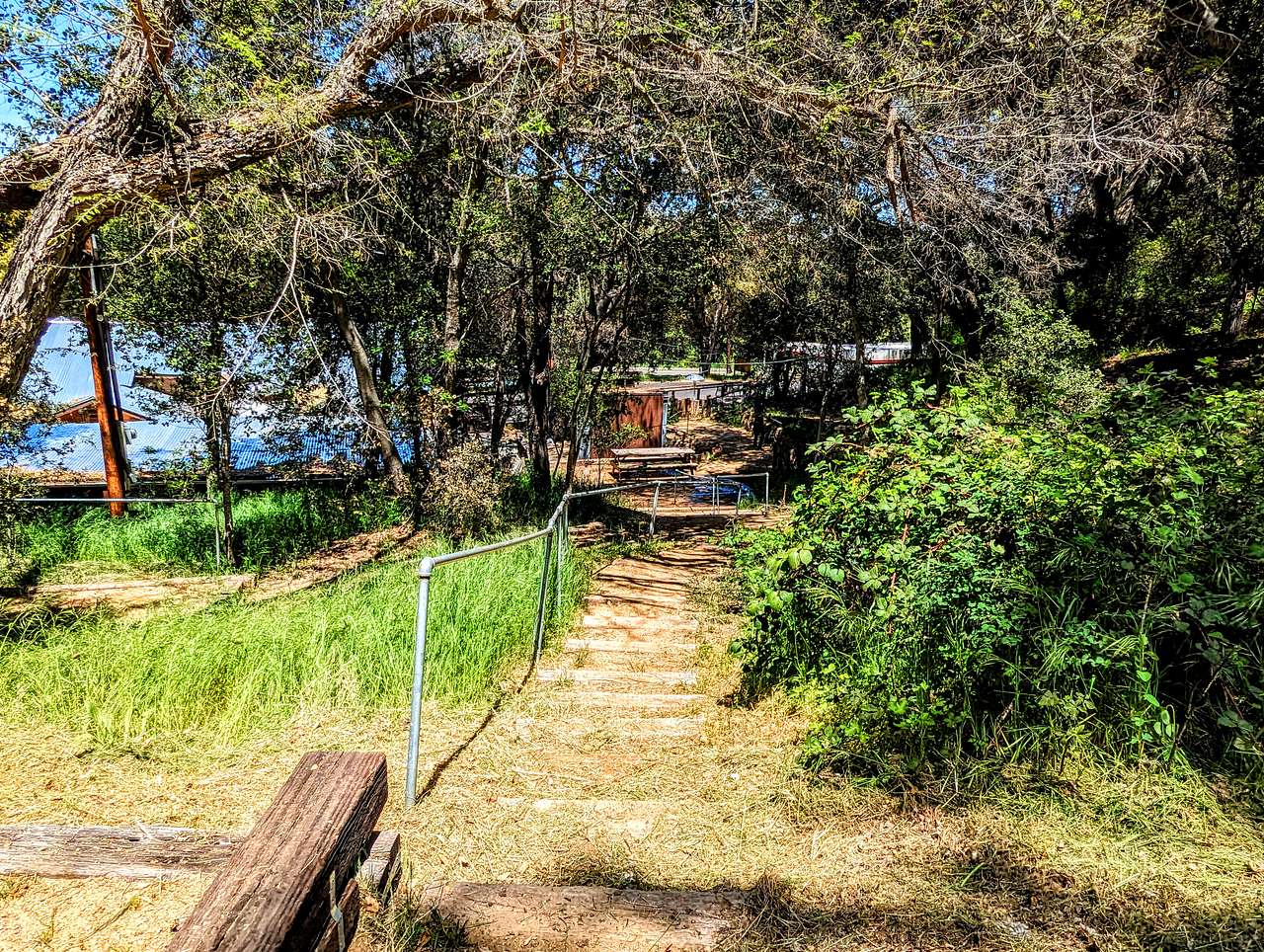 Picture of the site