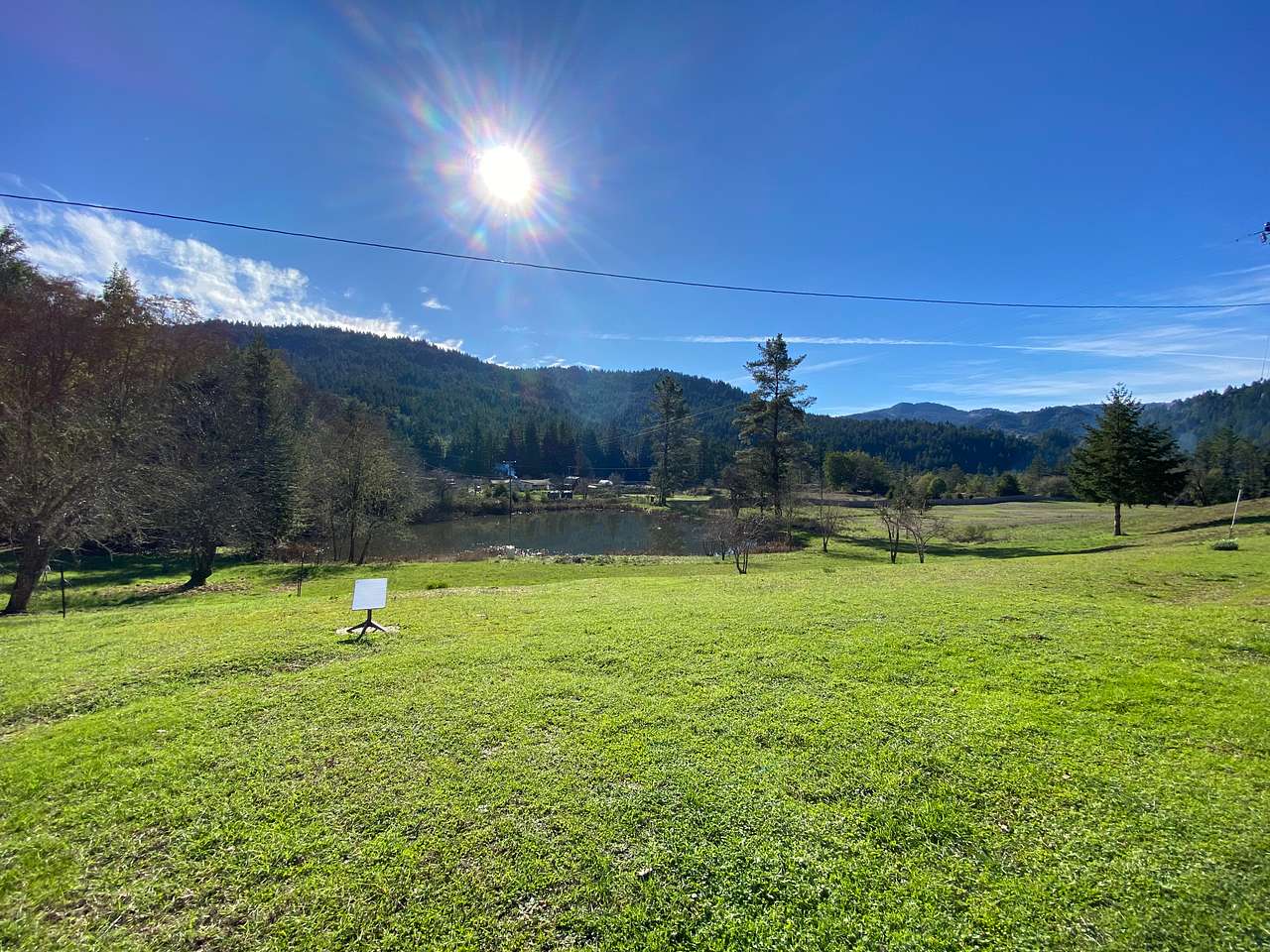 Picture of the site