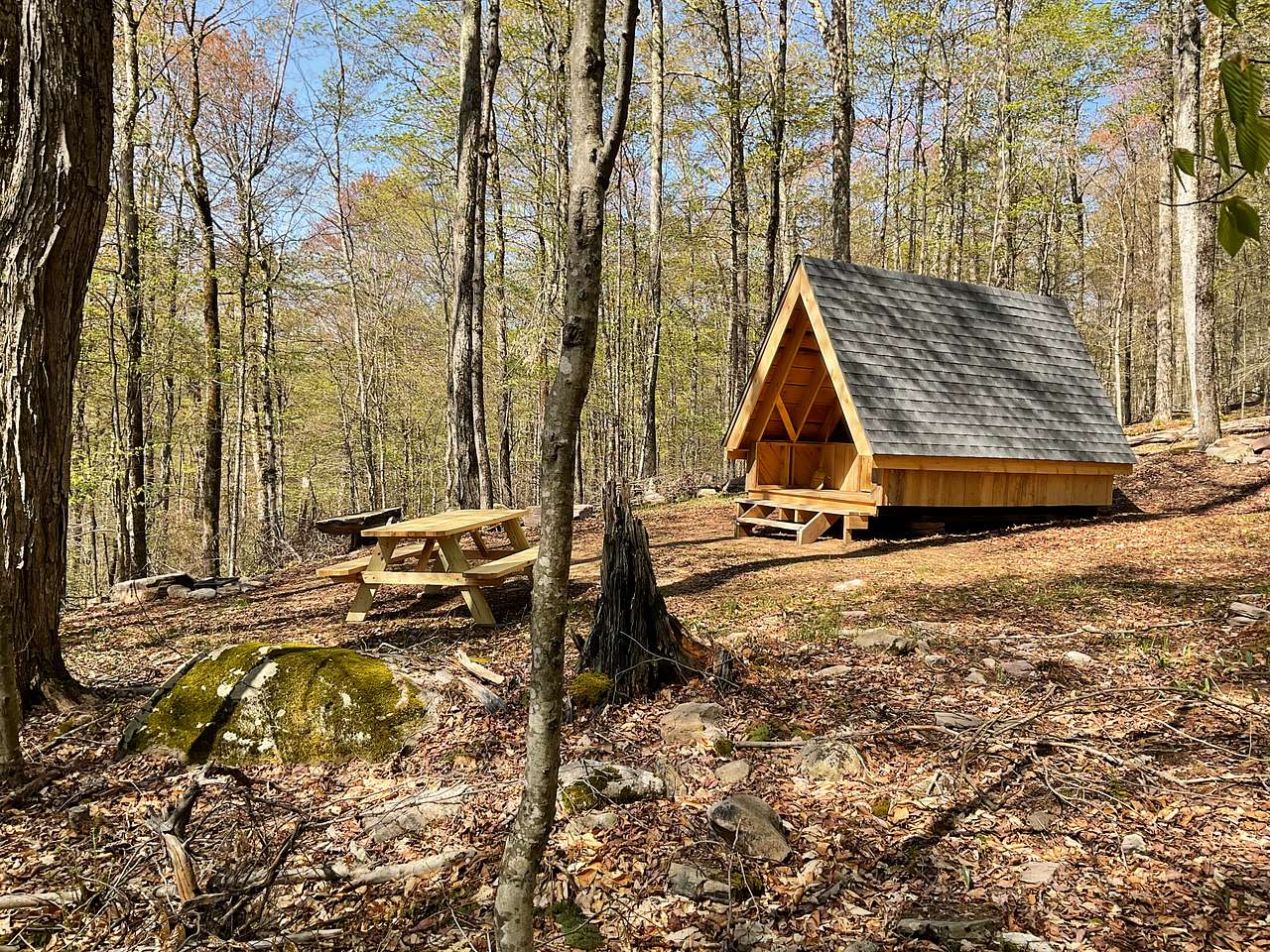 View lodging photos of Burr Oaks Forest secluded campsites