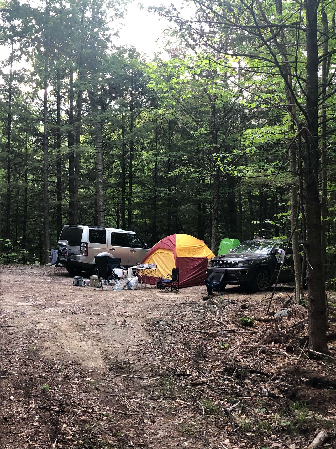 Picture of the site