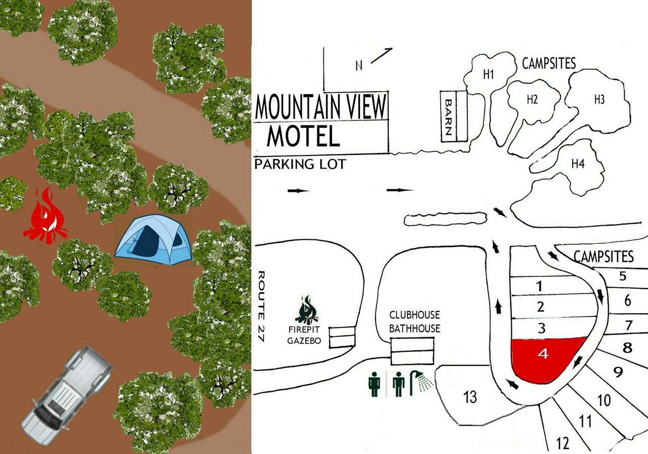 Picture of the site