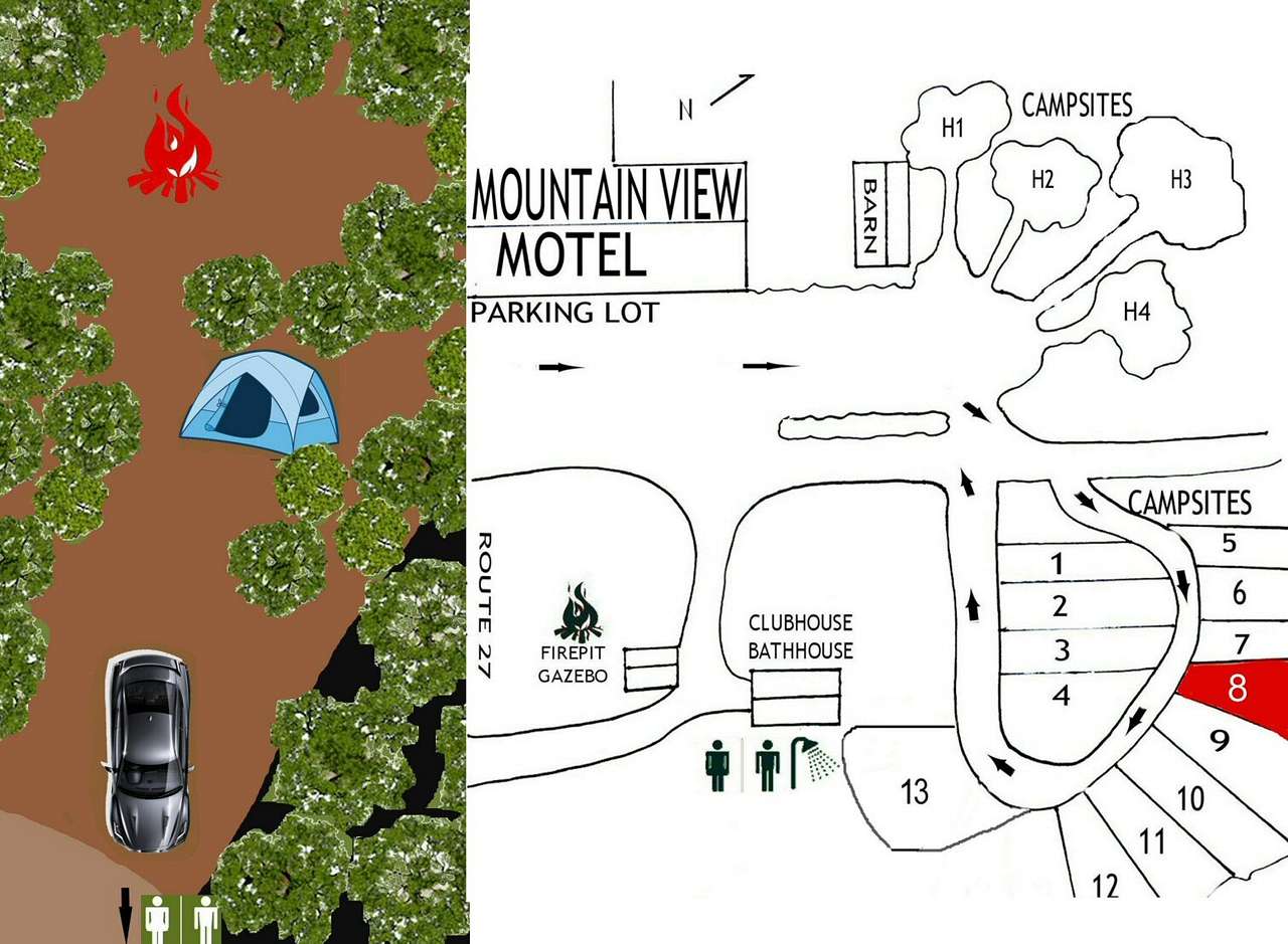 Picture of the site