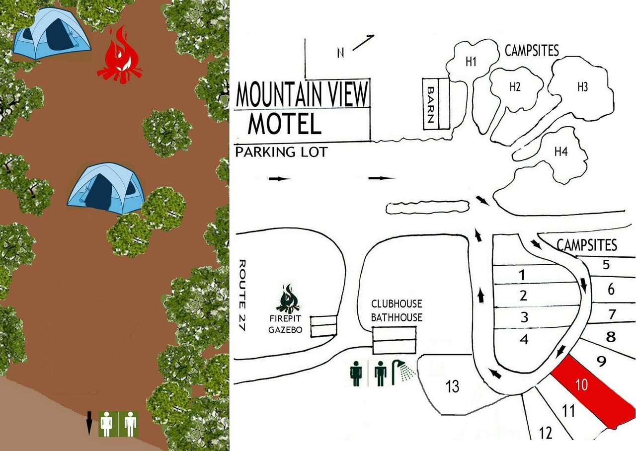 Picture of the site