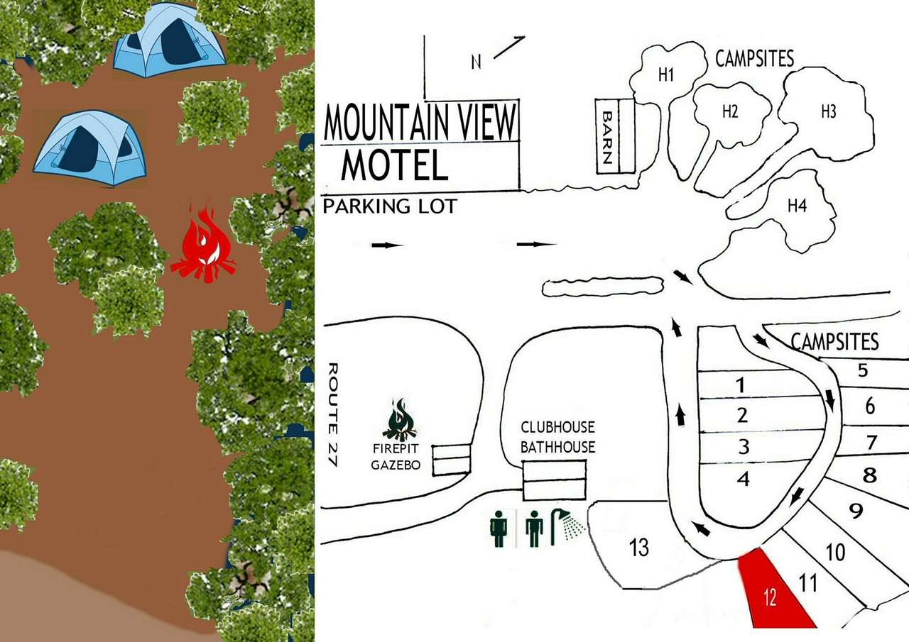 Picture of the site