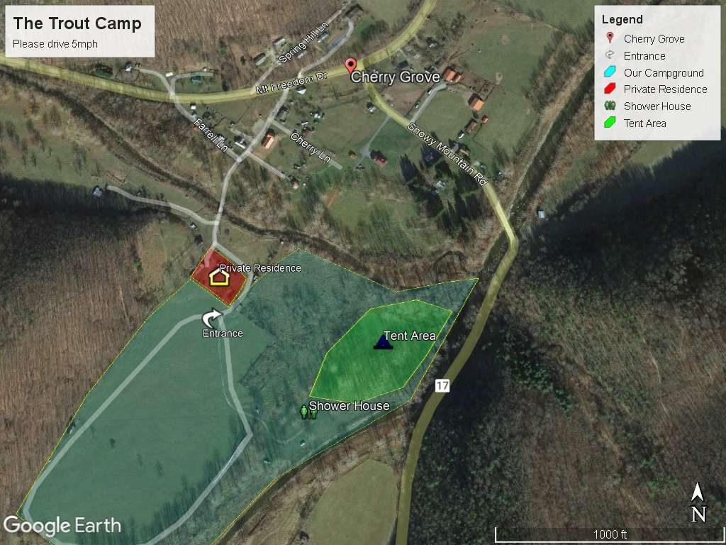 Picture of the site