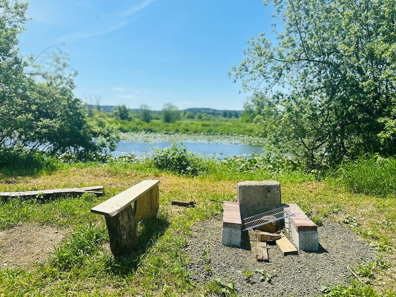 Picture of the site