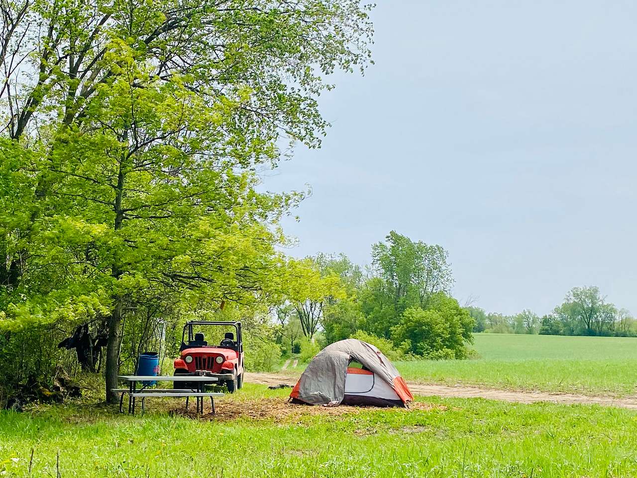 Picture of the site