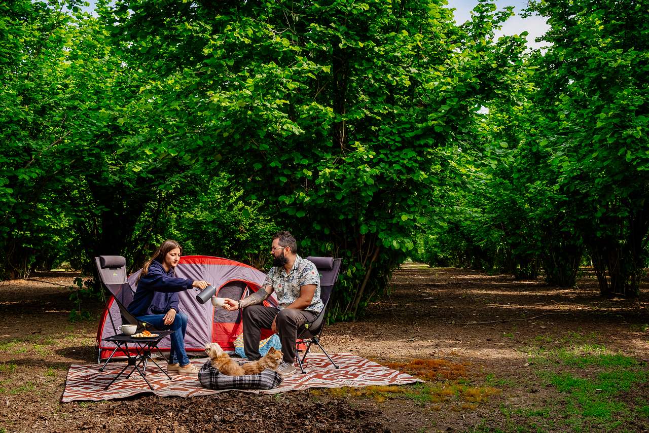 Picture of the site