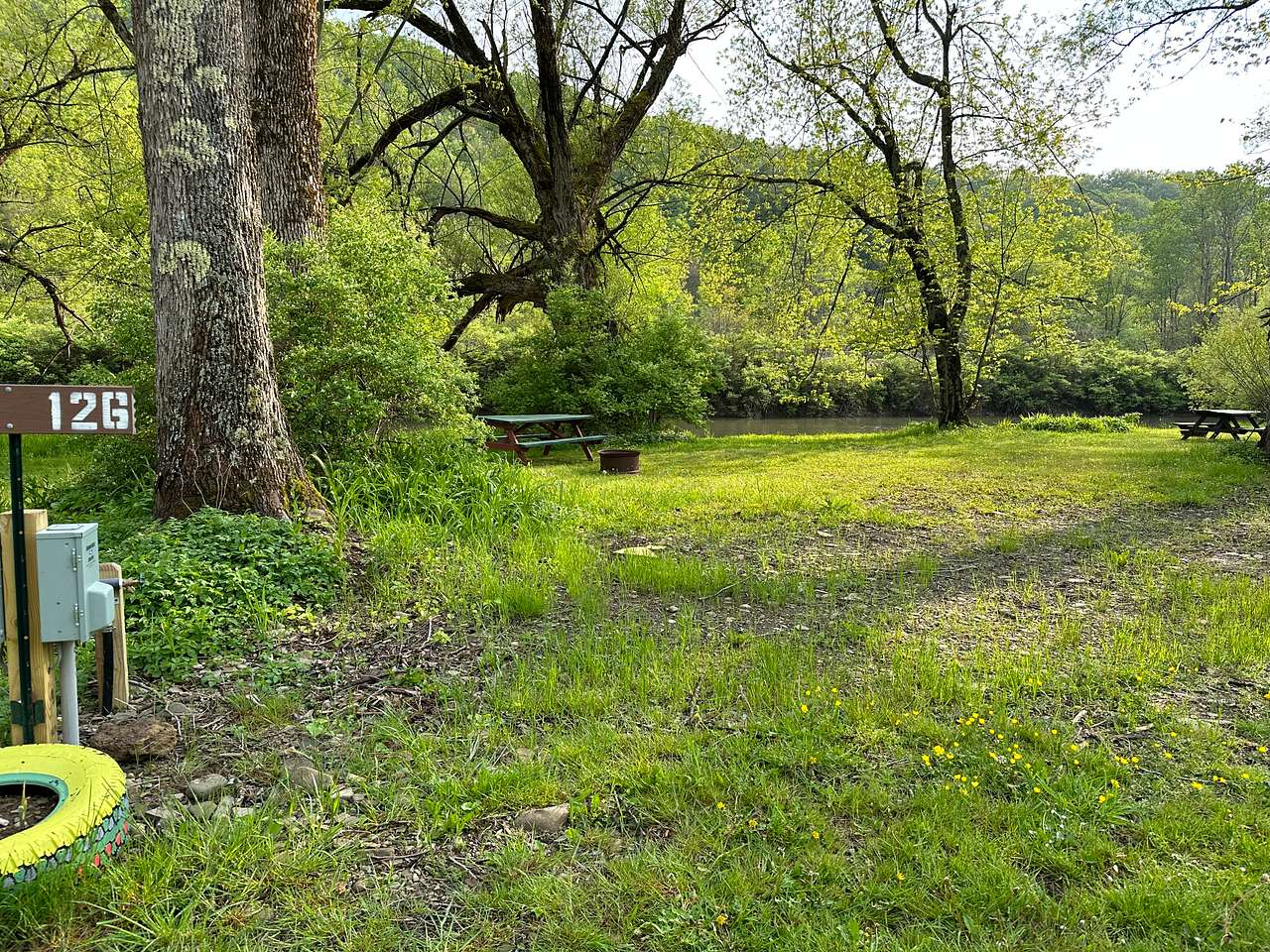 Picture of the site